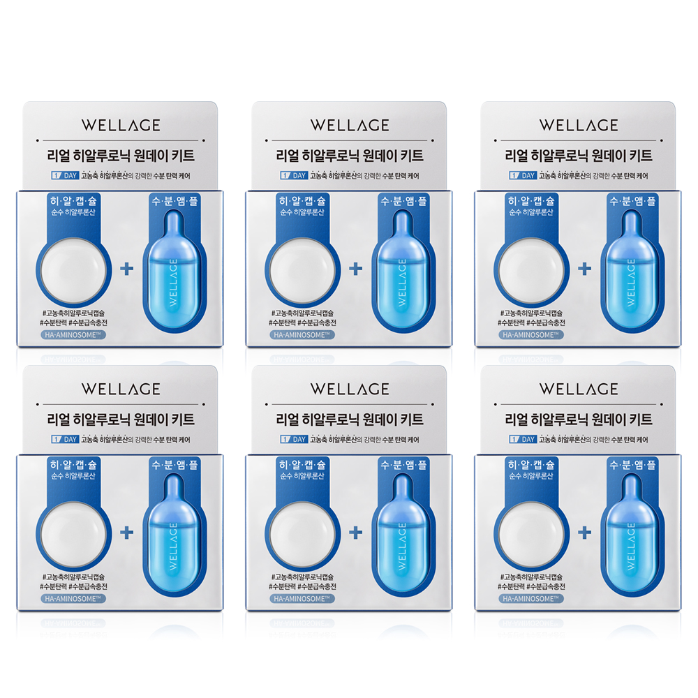 Global Kpop and K-beauty – Wellage Real Hyaluronic One Day Kit 6 Pieces