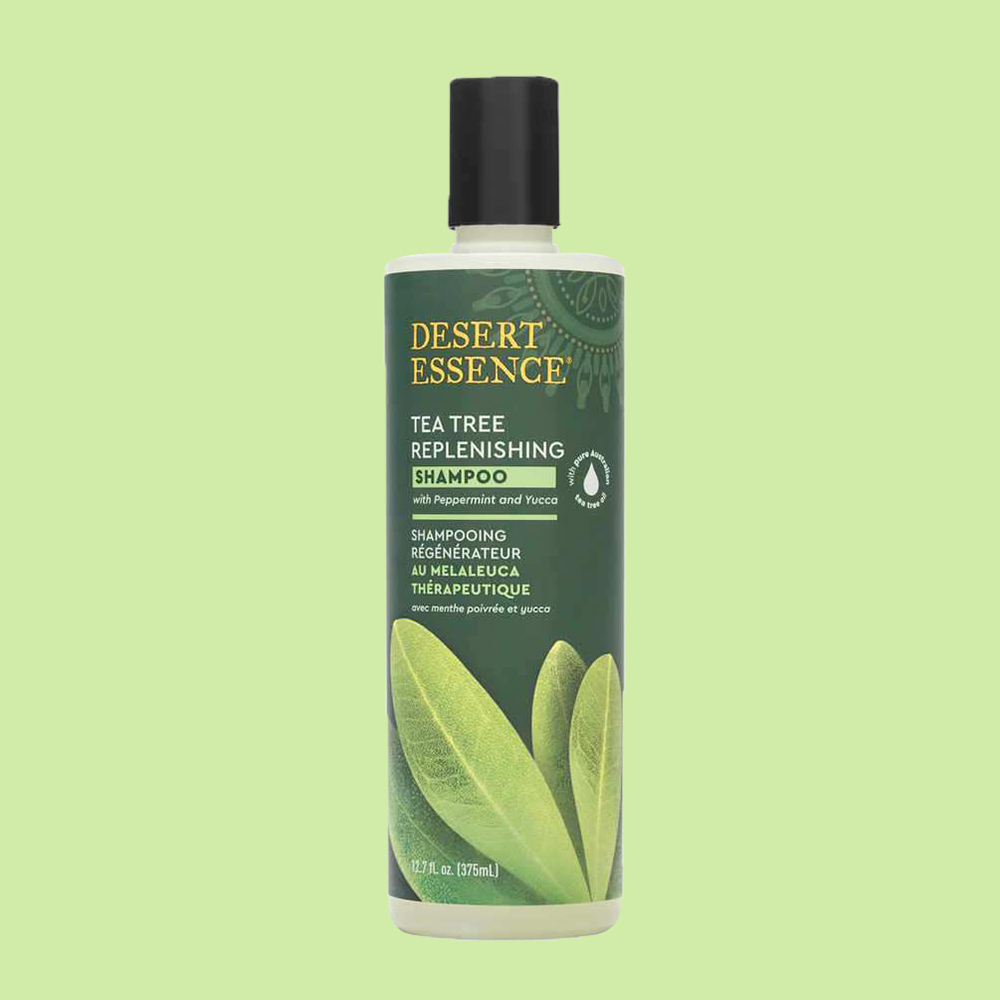 Global Kpop and K-beauty – Desert Essence Tea Tree Shampoo