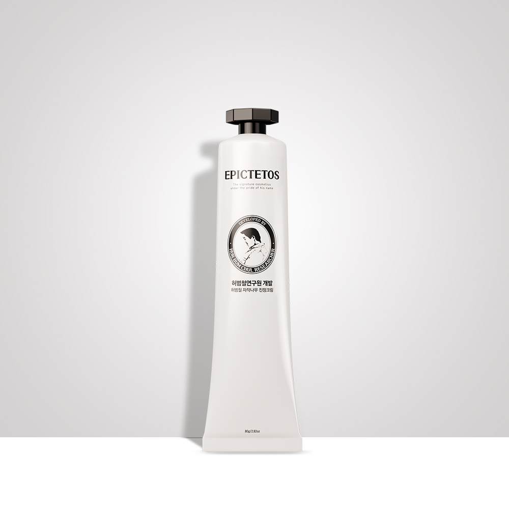 Global Kpop and K-beauty – Epictetos Birch Moisture Cream High Moisture Cream 80g