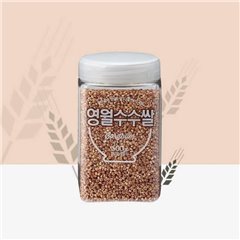 Youngwol cane (500G)