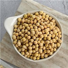 Best efflorescence grain 500g