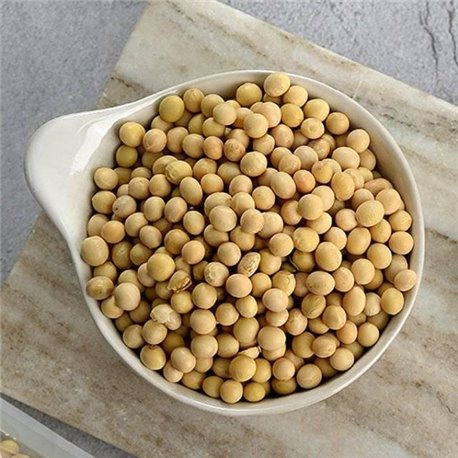 Best efflorescence grain 500g