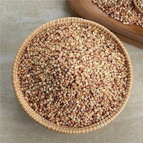 The best grain 1kg chalsusu