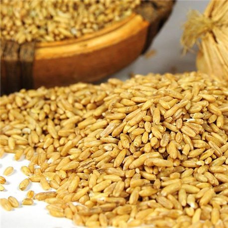 [Fresh] Jeongeup, Jeonbuk Hat luxury oats 500g