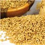 [Fresh] Jeongeup, Jeonbuk Hat luxury oats 500g