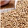 [Diligent farmer - Nancy cultivate qualitative Oats 5kg