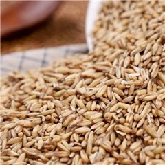 [Diligent farmer - Nancy cultivate qualitative Oats 5kg