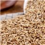 [Diligent farmer - Nancy cultivate qualitative Oats 5kg
