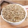 [Diligent farmer - Nancy cultivate devotion to Rye 5kg