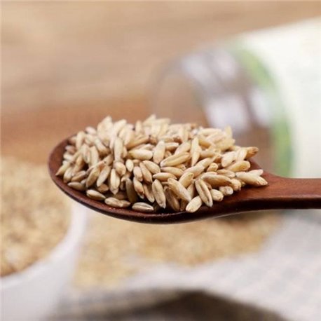 [Diligent farmer - Nancy cultivate qualitative oats 700g