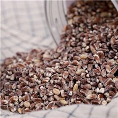 [Industrious farmers] heukmil Nancy cultivate qualitative (black wheat) 5kg