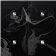 BTS 2nd Album / WINGS (4 Versions)