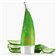 [Holika Holika] Aloe Facial Cleansing Foam 150ml